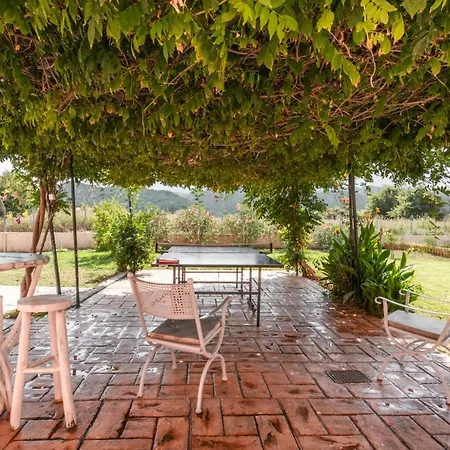 Eleni Luxury